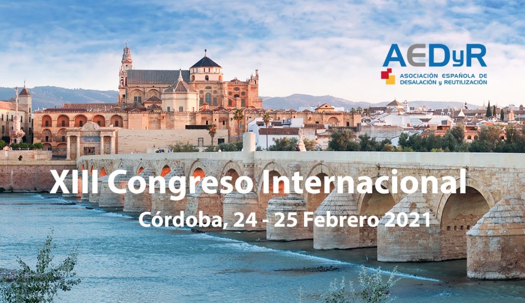 Banner XIII Congreso Internacional AEDyR